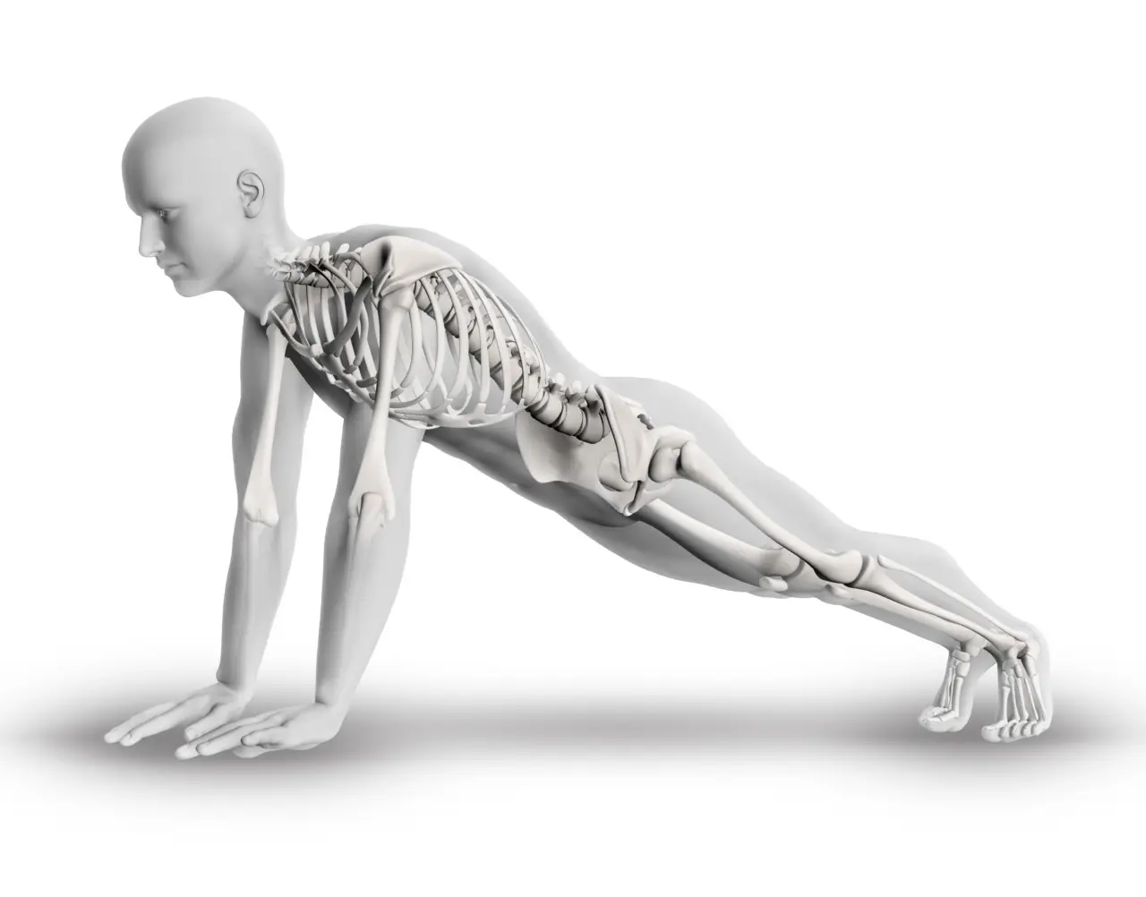 Ecco le attività fisiche consigliate per chi soffre di osteoporosi: migliora la salute delle ossa